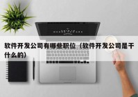 软件开发公司有哪些职位（软件开发公司是干什么的）