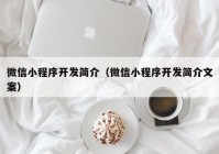 微信小程序开发简介（微信小程序开发简介文案）