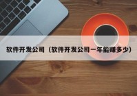 软件开发公司（软件开发公司一年能赚多少）