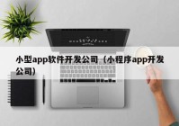 小型app软件开发公司（小程序app开发公司）