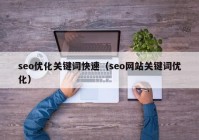 seo优化关键词快速（seo网站关键词优化）