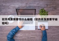 软件开发需要学什么编程（软件开发需要学编程吗）