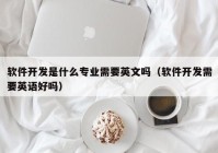 软件开发是什么专业需要英文吗（软件开发需要英语好吗）