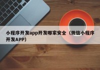 小程序开发app开发哪家安全（微信小程序开发APP）