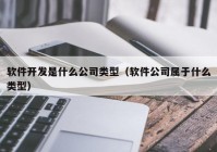 软件开发是什么公司类型（软件公司属于什么类型）