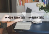 seo优化是什么职位（Seo是什么职位）