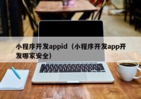 小程序开发appid（小程序开发app开发哪家安全）