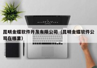 昆明金蝶软件开发有限公司（昆明金蝶软件公司在哪里）