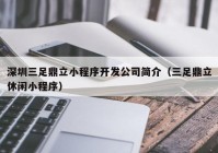 深圳三足鼎立小程序开发公司简介（三足鼎立休闲小程序）