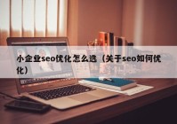 小企业seo优化怎么选（关于seo如何优化）