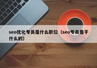 seo优化专员是什么职位（seo专员是干什么的）