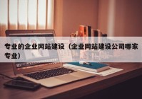 专业的企业网站建设（企业网站建设公司哪家专业）