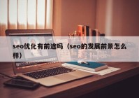 seo优化有前途吗（seo的发展前景怎么样）