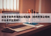 适用于软件开发的公司名称（软件开发公司叫什么名字比较好）