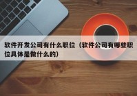 软件开发公司有什么职位（软件公司有哪些职位具体是做什么的）